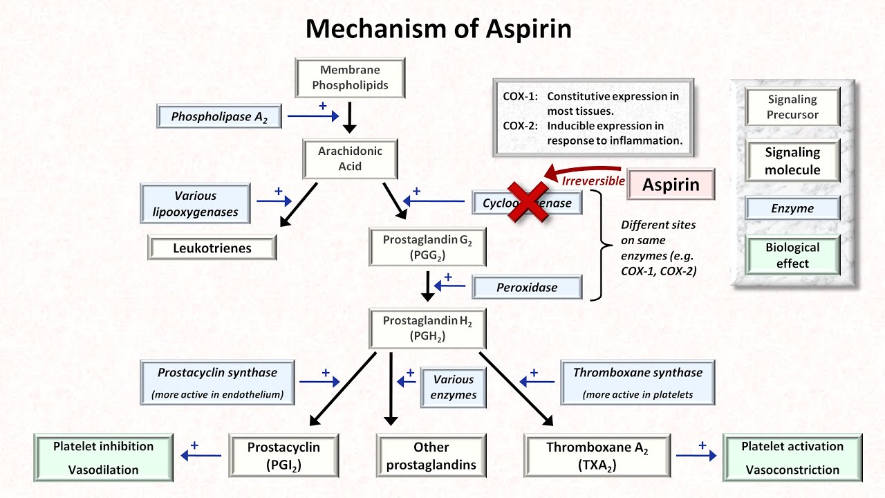 Hemostasis: Lesson 5 - Antiplatelet Meds (Part 1 of 2)