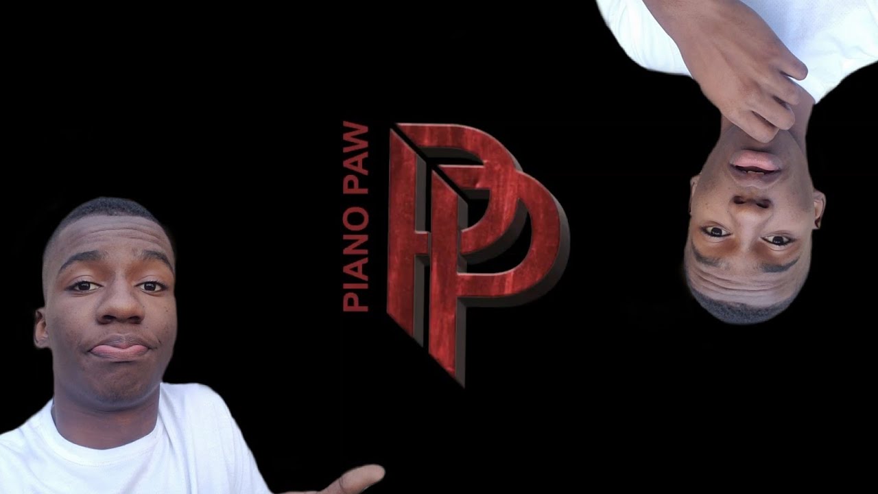 Piano Paw: 2019 Review
