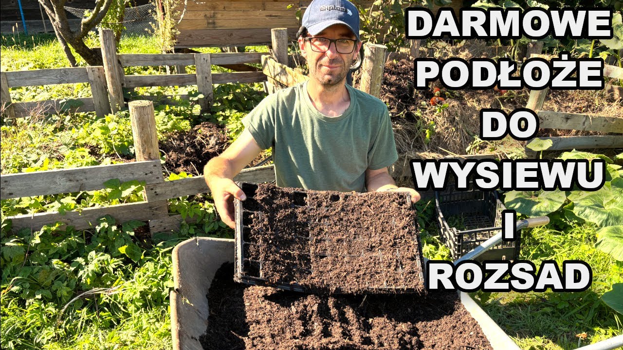 Domowy kompost – idealne podłoże dla rozsady warzyw