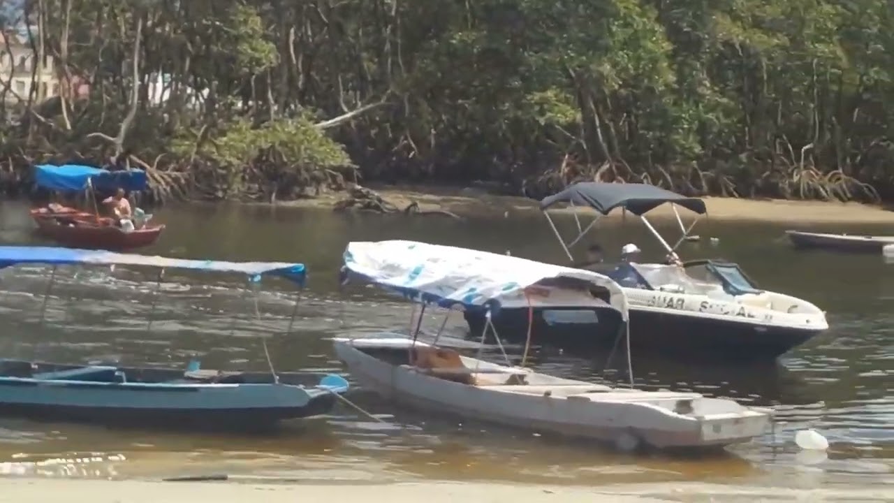 3.2 Rolê pela Ilha dos Valadares - parte II  #cicloturismo #paranagua #parana