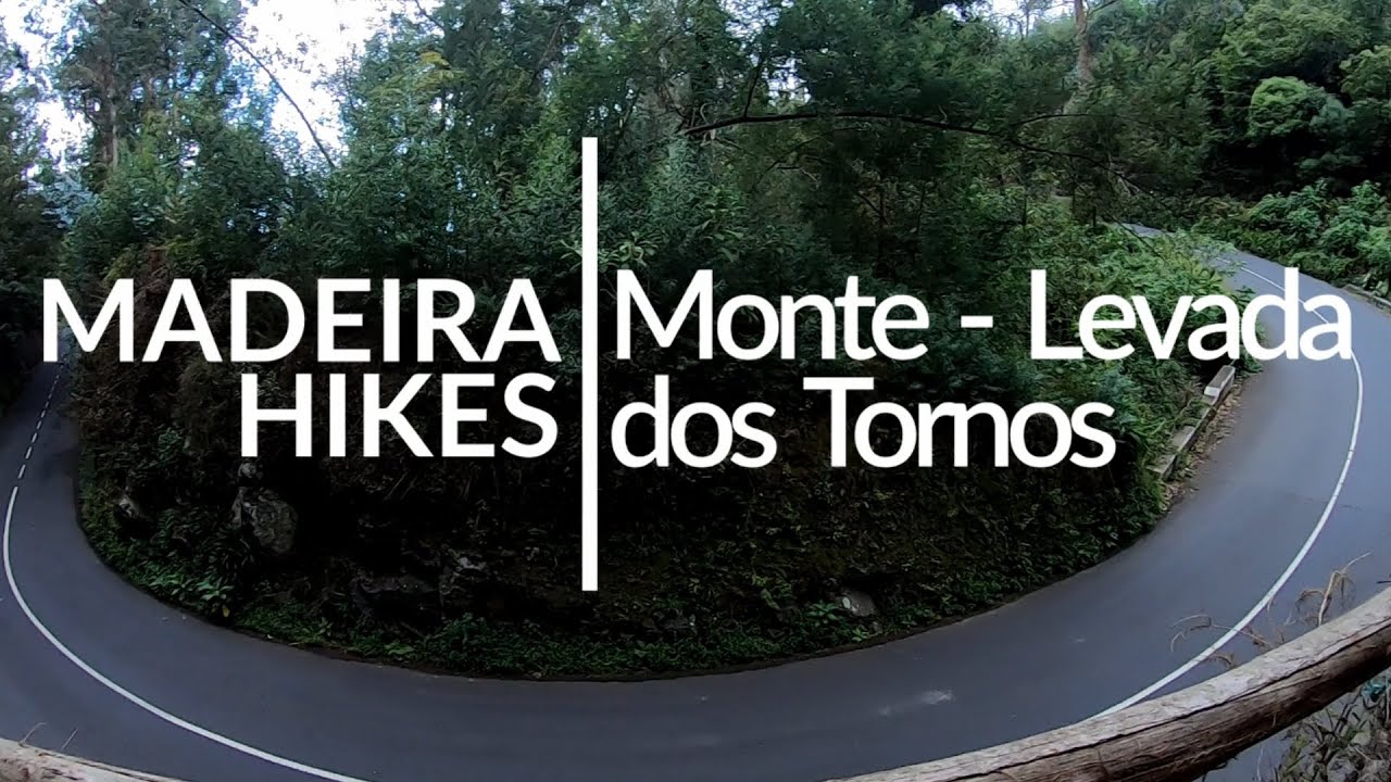 Madeira hikes: Monte - Levada dos Tornos