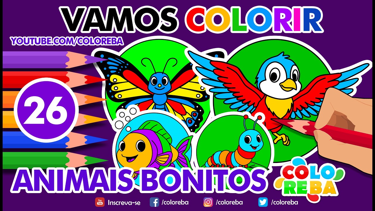 Vamos  Colorir - Animais Bonitos