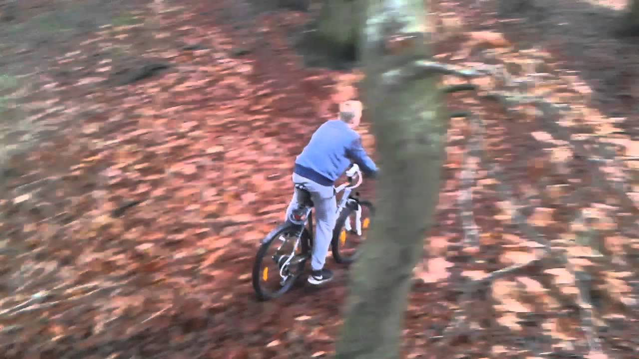 Mountainbiken im Wald
