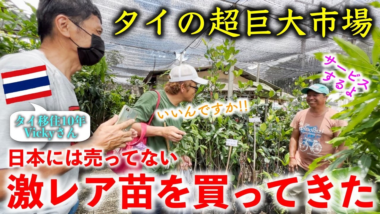 タイの巨大市場で日本には売っていない【激レア苗】を買ってきた！【カムティアン市場】