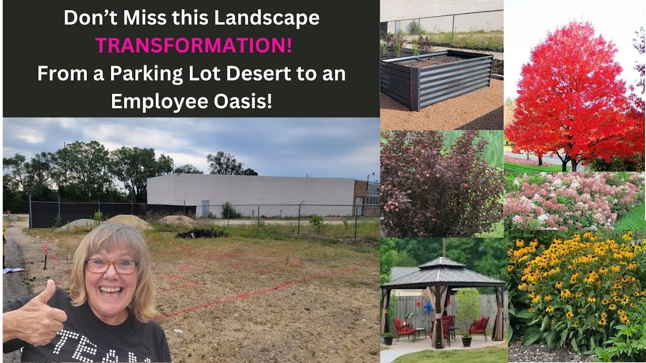 Landscape Installation:  A Parking Lot Transformation