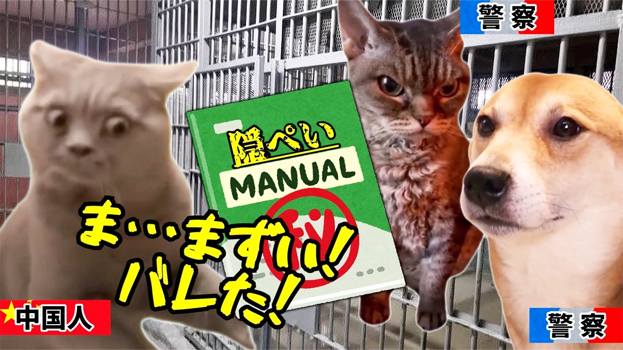 【中国企業の闇】タイで高層ビルが崩壊した理由#猫マニ #猫ミーム