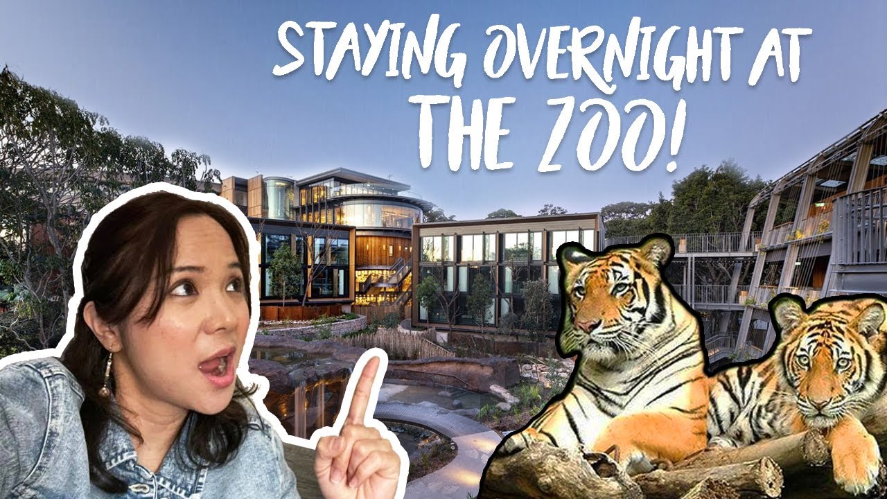 Wildlife Retreat at Taronga Review / Day and Night at Taronga Zoo / What Kids Can Do at the Zoo