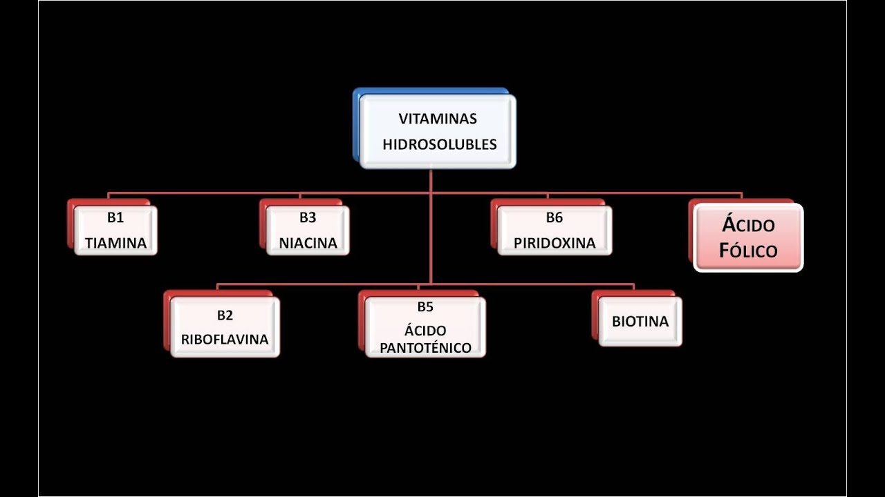 Vitaminas hidrosolubles: Vitamina B9 o Ácido fólico