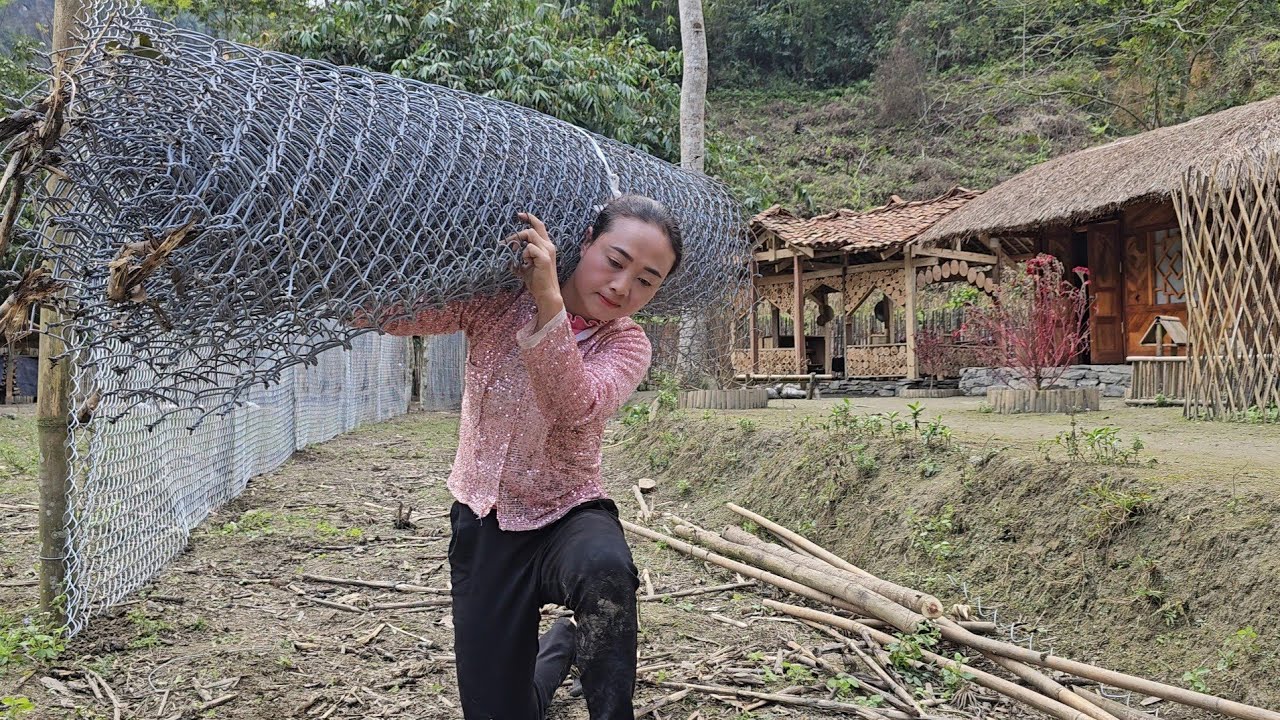 Overcoming the waves: Make your own new garden for pigs. Picking bananas for sale - Vang anh hmong