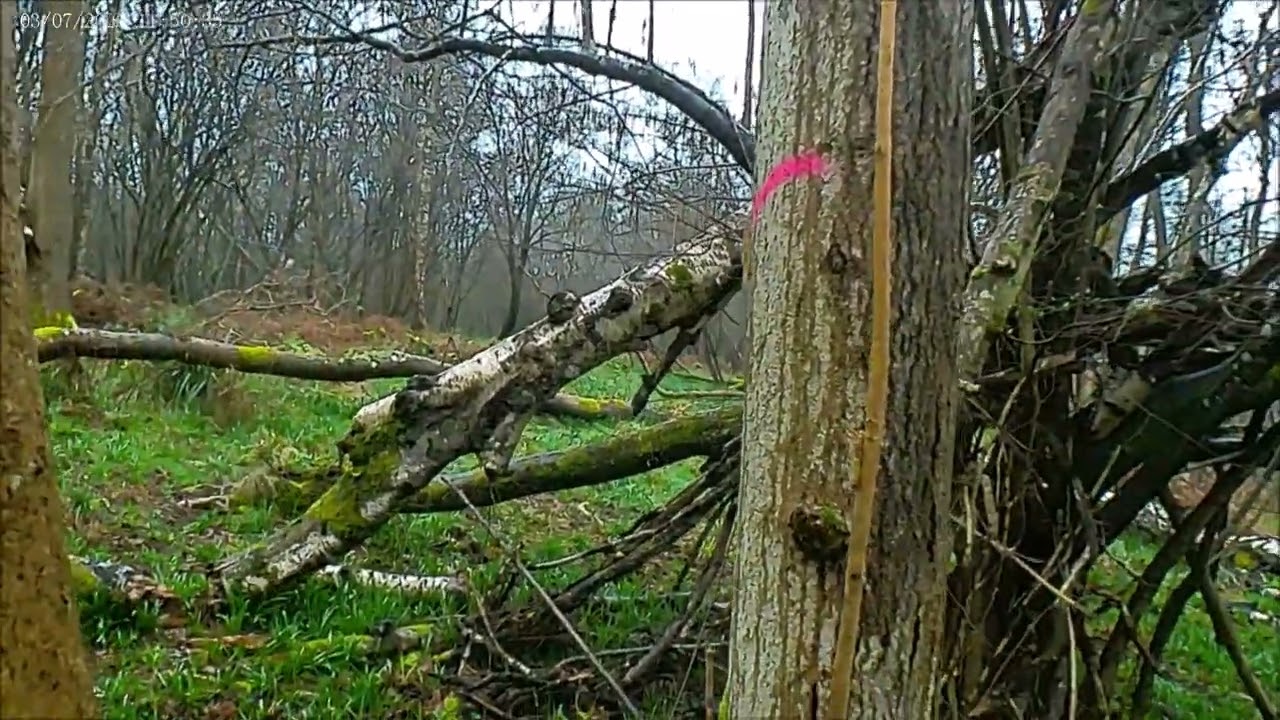 ... it's still all too very serious at Red Alert.