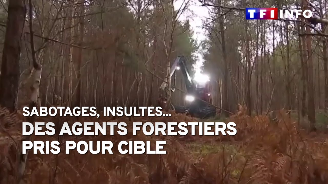 Des agents forestiers pris pour cible