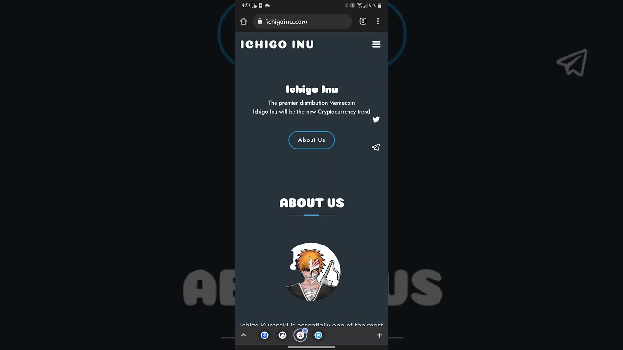 Ichigo Inu Introduction simple Review ERC20 Anime Token static Reflections Anime Game Coming 2022