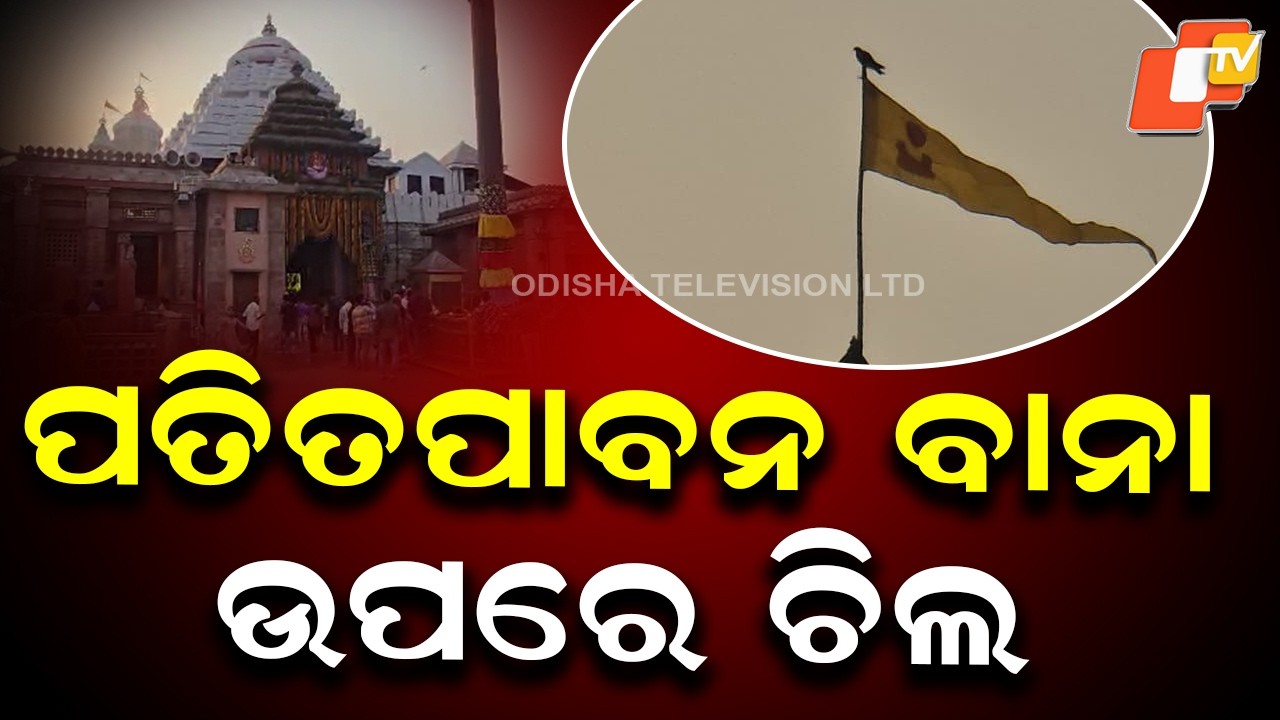 Eagle Sits on Patitapaban Bana atop Srimandir: Devotees Debate Auspicious or Inauspicious Sign