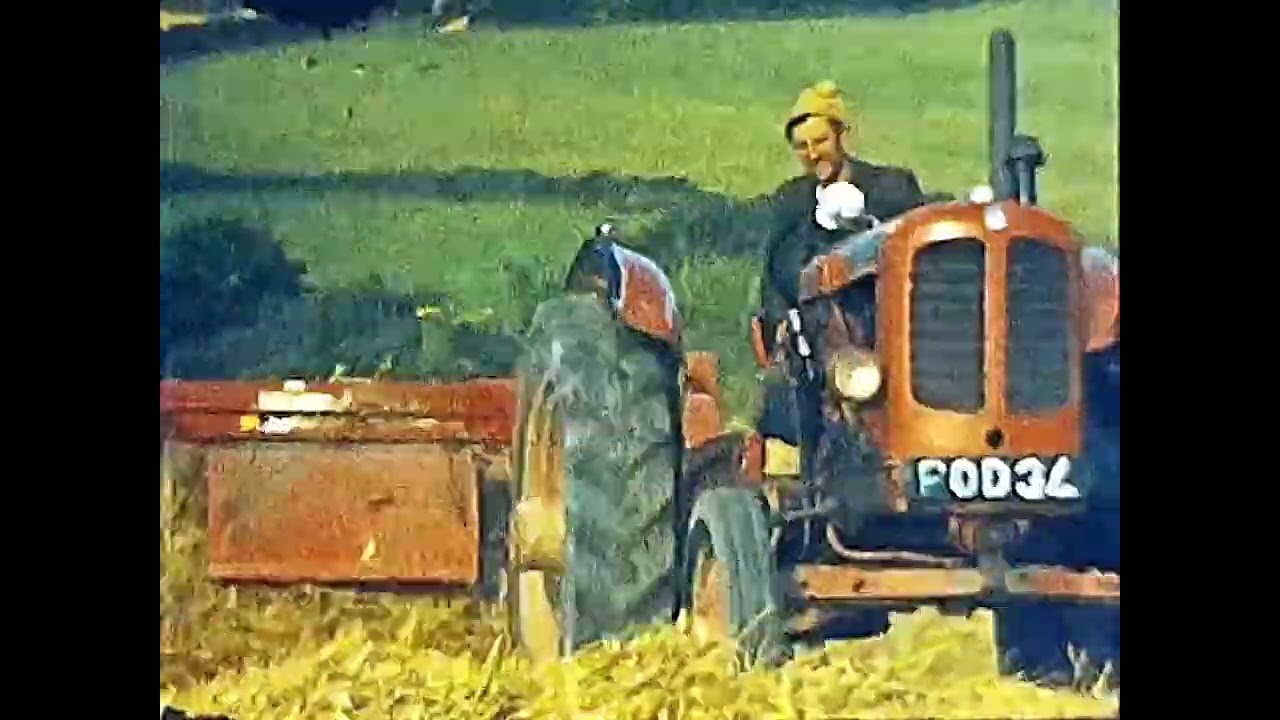 BULLAPIT FARM, Cornwall, 1965