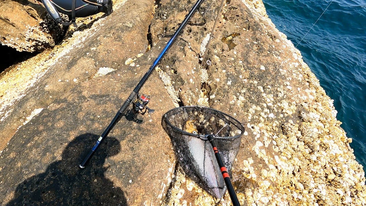 【ヤエン釣り】春イカやっと釣れた！！　高知　甲浦
