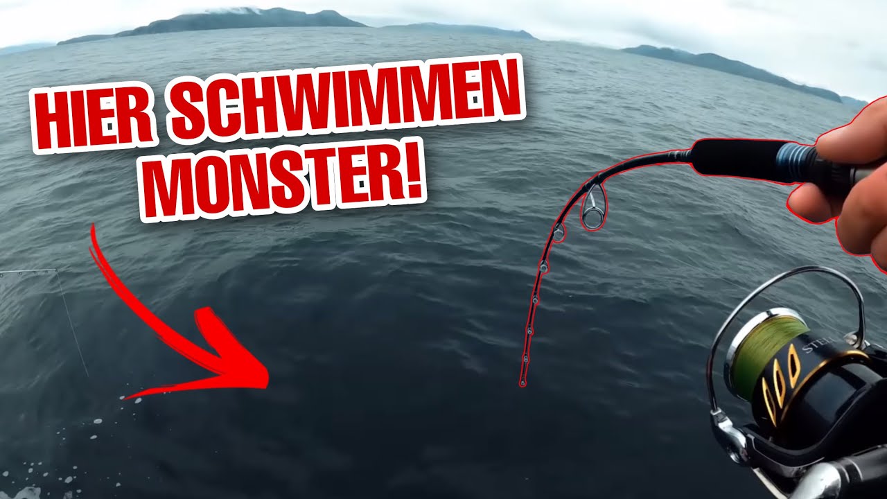 Wir fangen 500kg Fisch!!! Skandinavien Roadtrip Teil 3/6