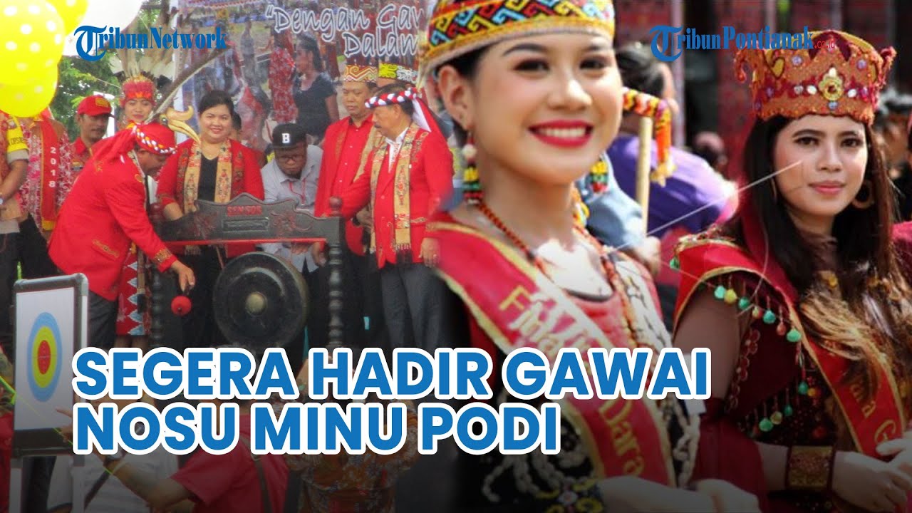 🔴 Gawai Dayak Nosu Minu Podi Tahun 2023 Siap Digelar di Sanggau, Persiapan Panitia Capai 90 Persen