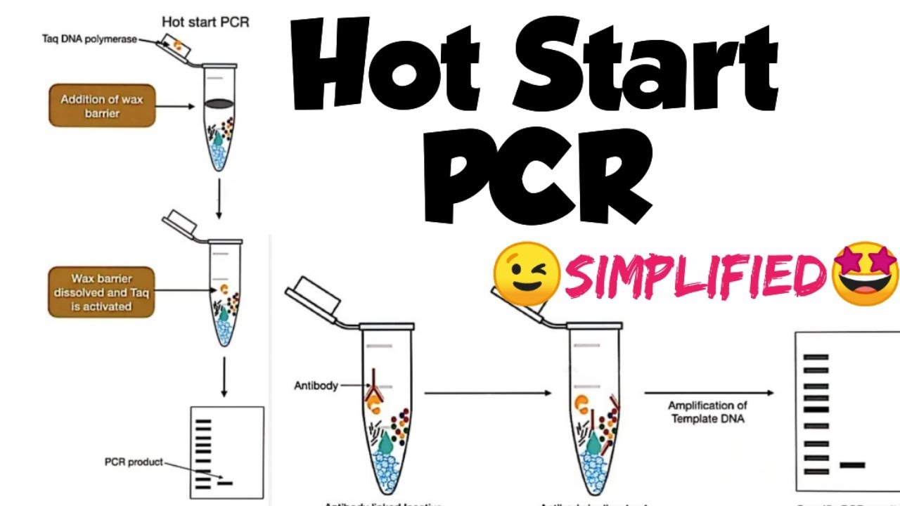 Hot start PCR || Types of Pcr|| pcr variations 🤩