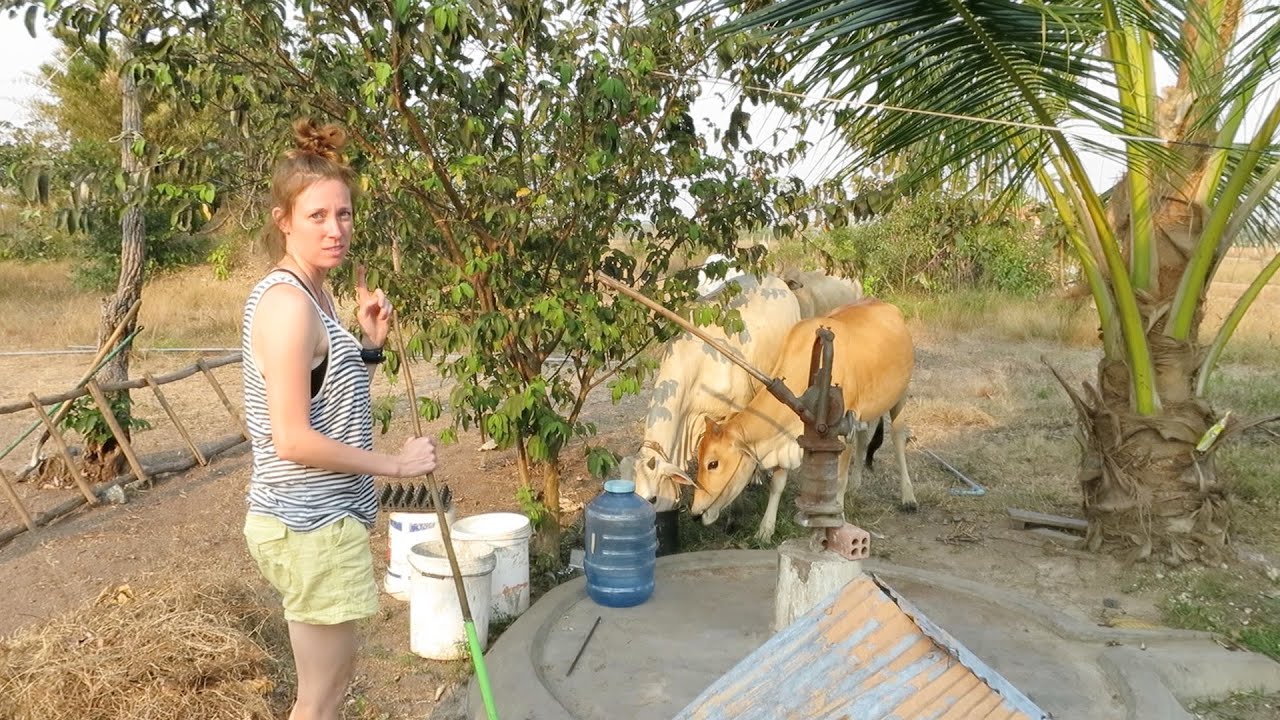 TWR 2.4: cambodian chores