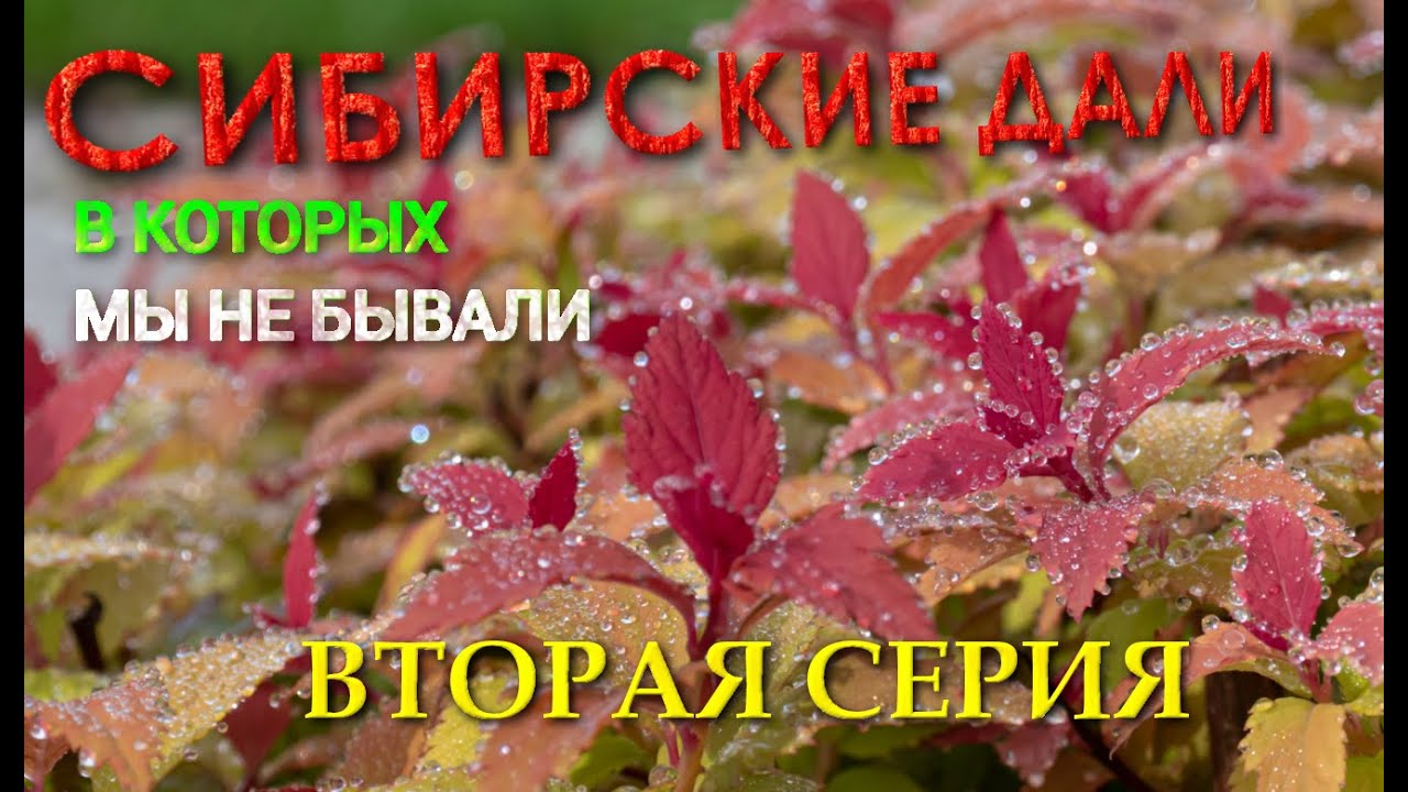 Сибирские дàли, в которых мы не бывали. Вторая серия  автопутешествия с Алтая по Сибири