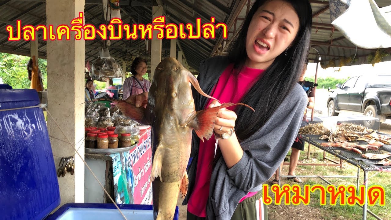 จะเหมาปลาแม่น้ำของกลับบ้านทั้งหมดเลย