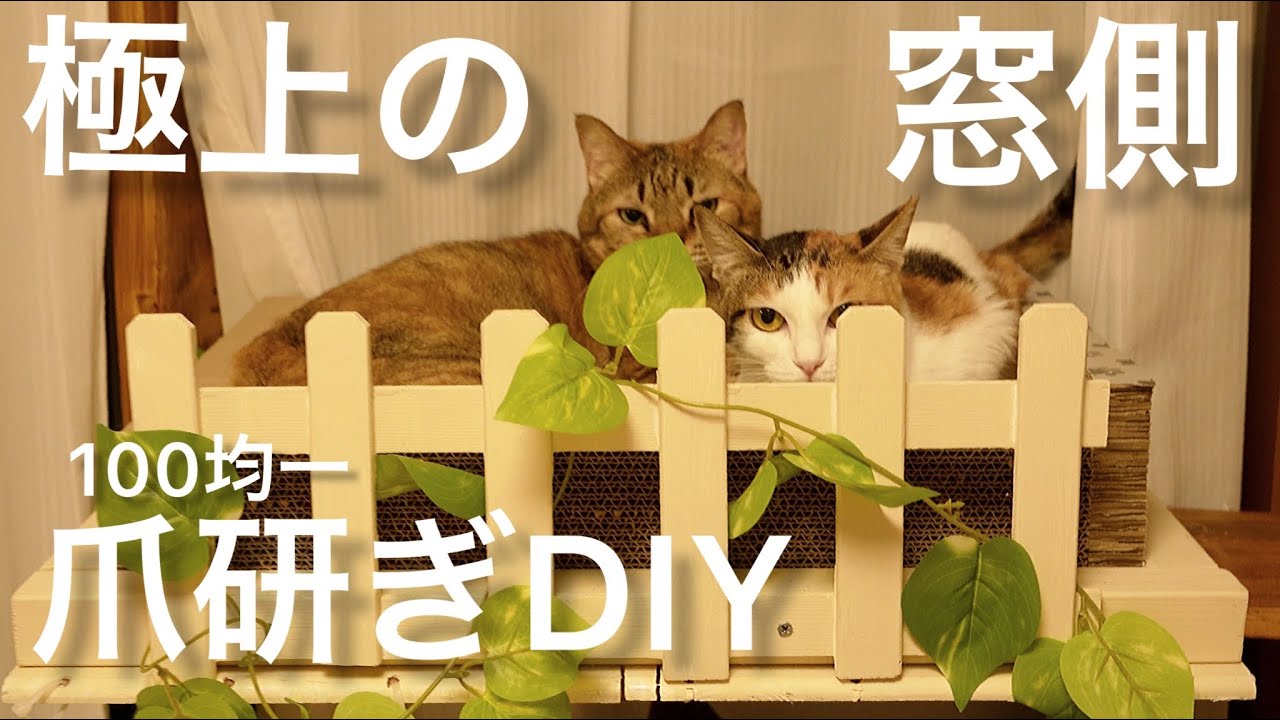 【100均DIY】２匹入れる猫用爪研ぎベッドをDIY