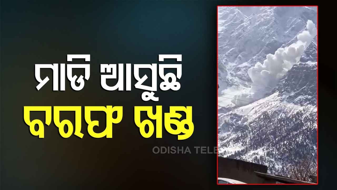 Avalanche Hits Himachal, No Casualties