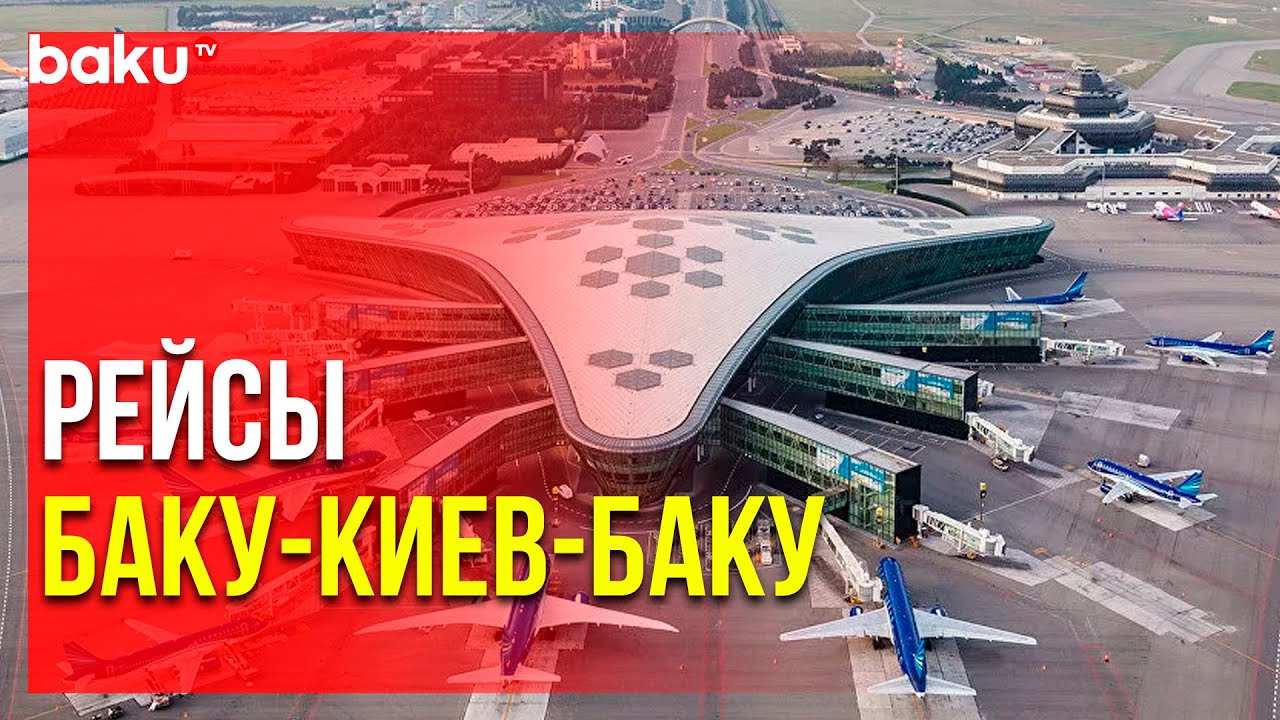 Buta Airways Сделали Заявление для Купивших Билеты | Baku TV | RU