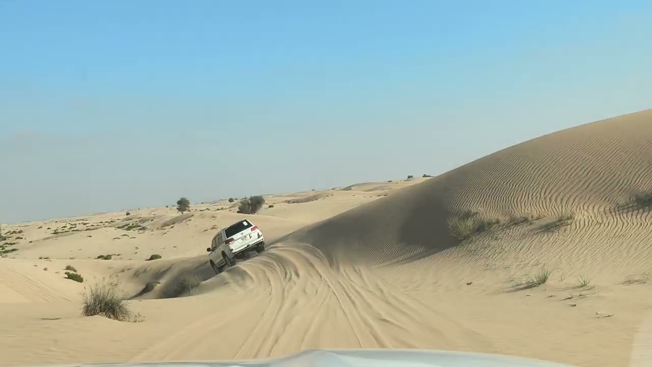 The DESERT SAFARI adventure