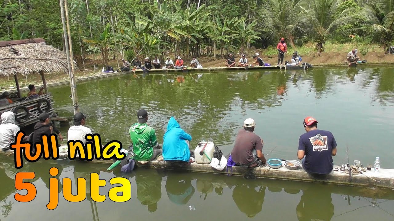 Mancing penuh kejutan !! ini baru borongan strike bertubi tubi tidak ada jeda