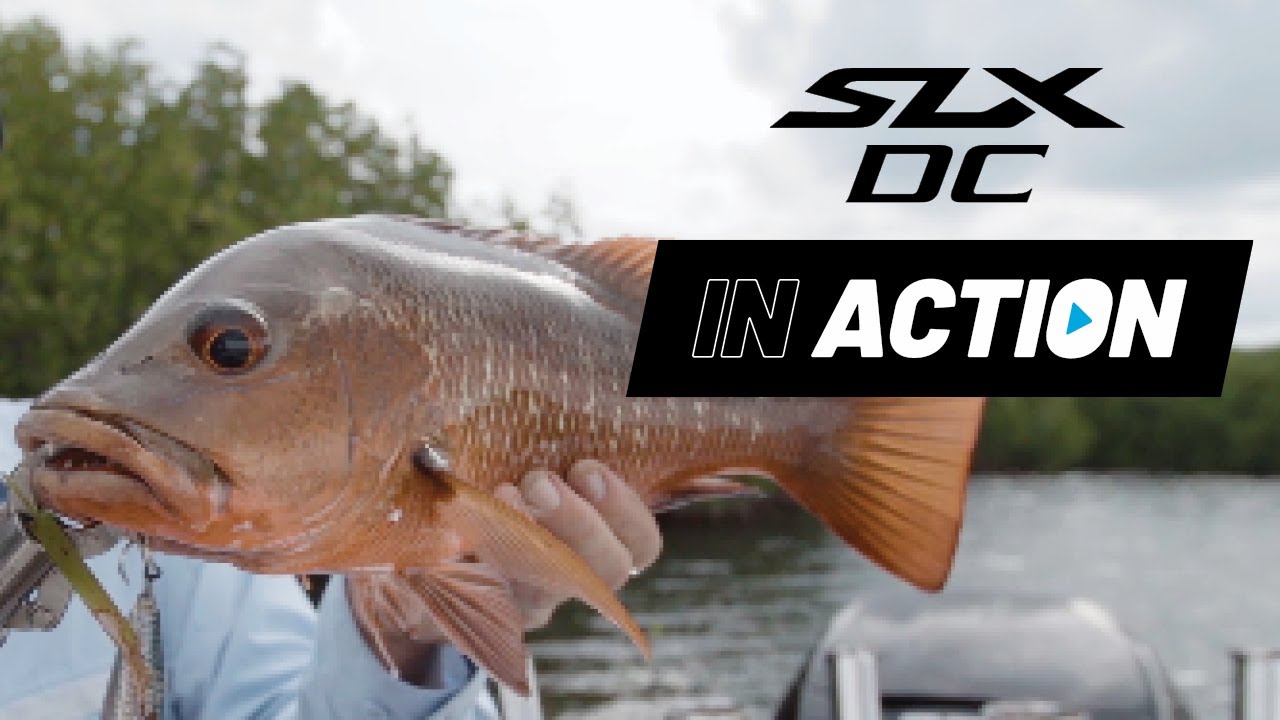 IN ACTION: SLX Baitcast Reel