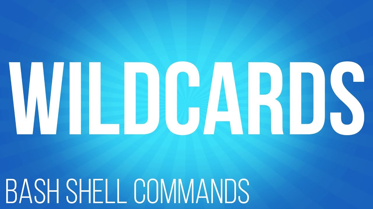 BASH Shell commands wildcards ( commands for Linux )