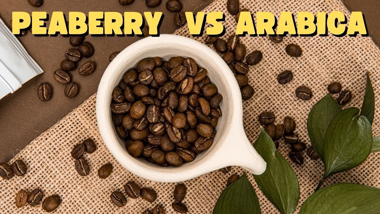 Peaberry Coffee vs Arabica: Understanding the Difference