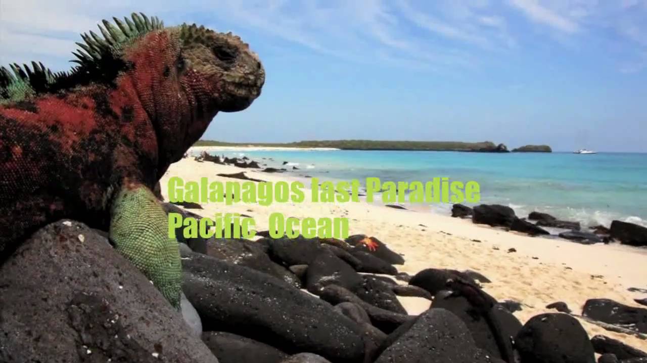 Le Gal&aacute;pagos Arcipelago di Colombo - Equador - UNESCO Patrimonio dell'Umanit&agrave;