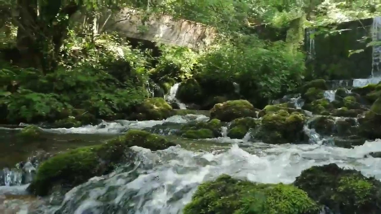 Izvor reke Vrelo, Perućac, Bajina Ba&scaron;ta