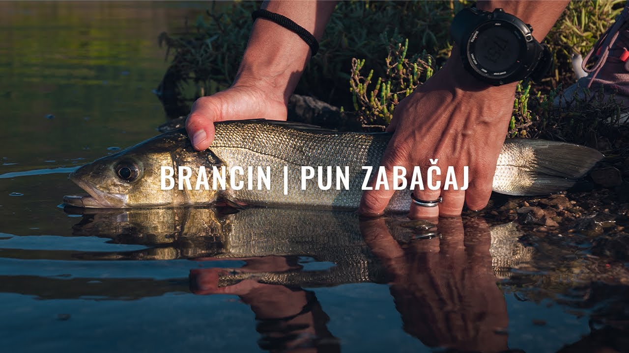 Brancin | Pun Zabačaj