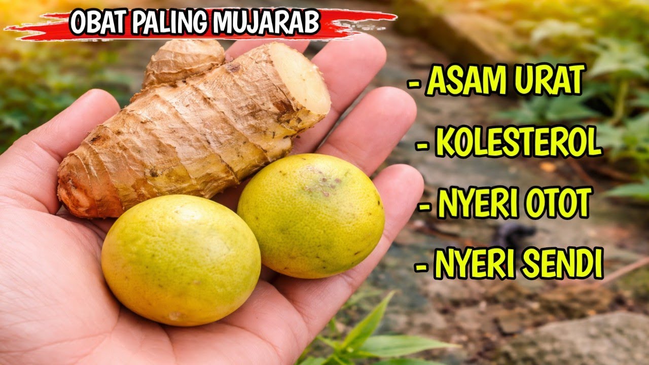 Ramuan HERBAL MUJARAB ‼️ KENAPA GAK TAHU DARI DULU 