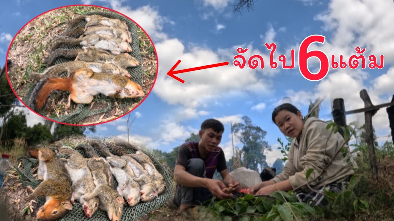 ยามกับดักหนูหมานๆ/ຢາມກັບດັກຫນູຫມານໆ