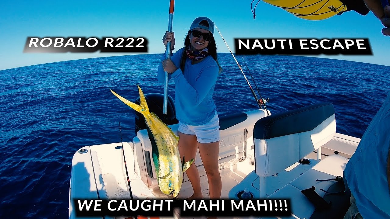 Robalo R222 , FISHING
