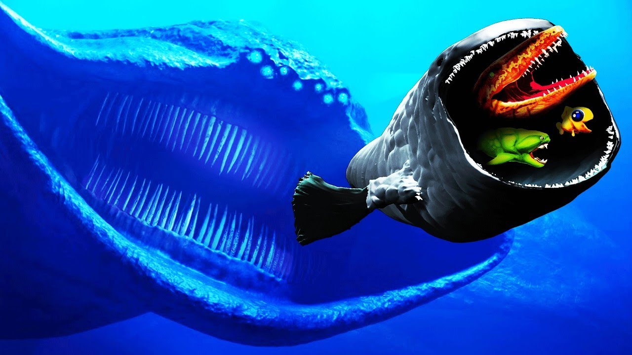 EL GRAN MAJA vs TODOS LOS PECES