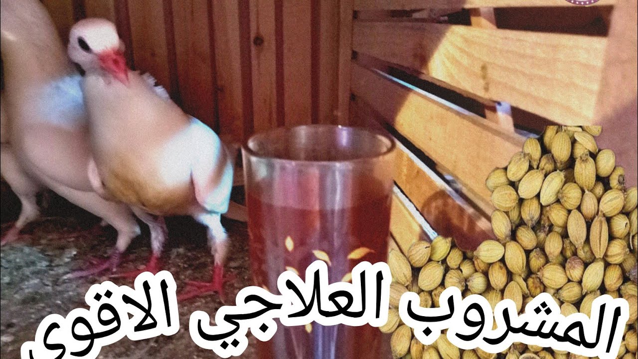 علاج التهاب المفاصل وشلل الاجنحه