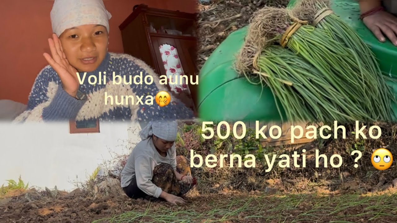 Finally pach (onion 🧅)pani lagai sakau 😮‍💨..Voli budo aunu hunxa 🤭☺️kati khushi vako ma😁