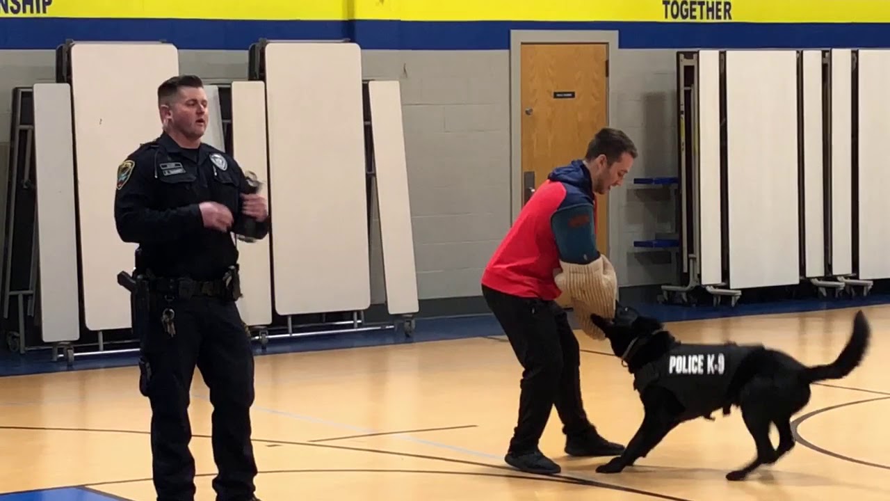 East Moline Police K9 demonstration.