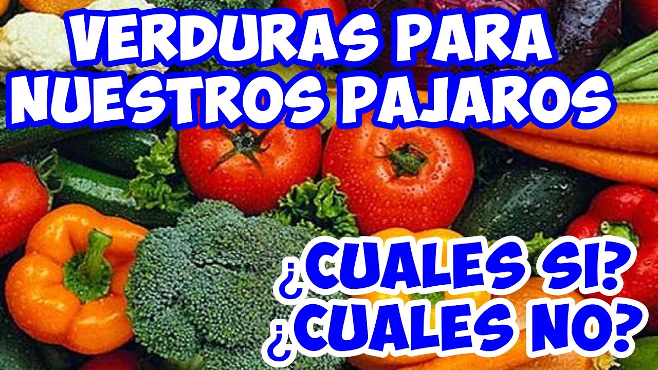 ALIMENTACION - VERDURAS PARA NUESTROS PAJAROS CUALES SI Y CUALES NO (Parte 1)