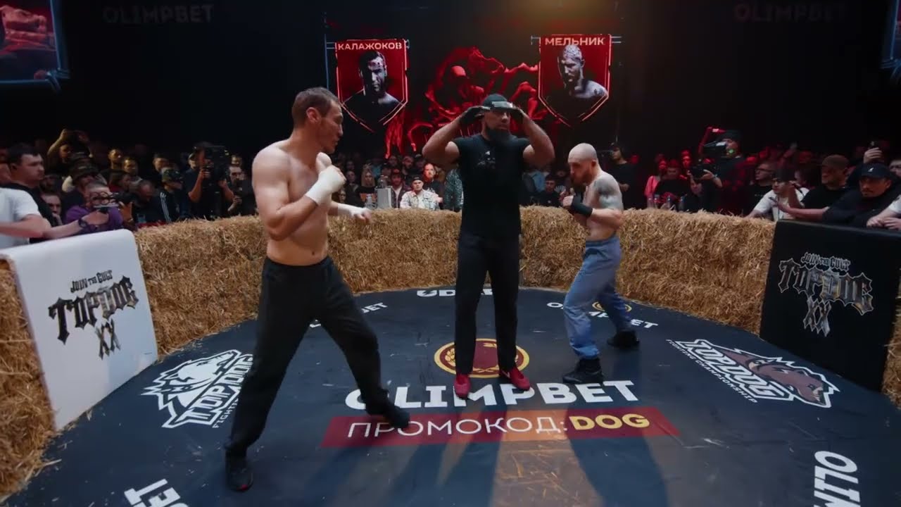 Нокаут! Калажоков vs Мельник TOP DOG!