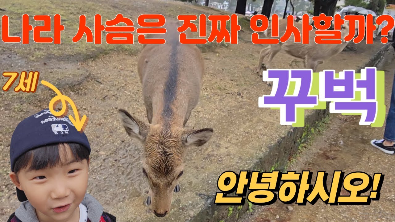 오사카여행 1편 나라 방문기