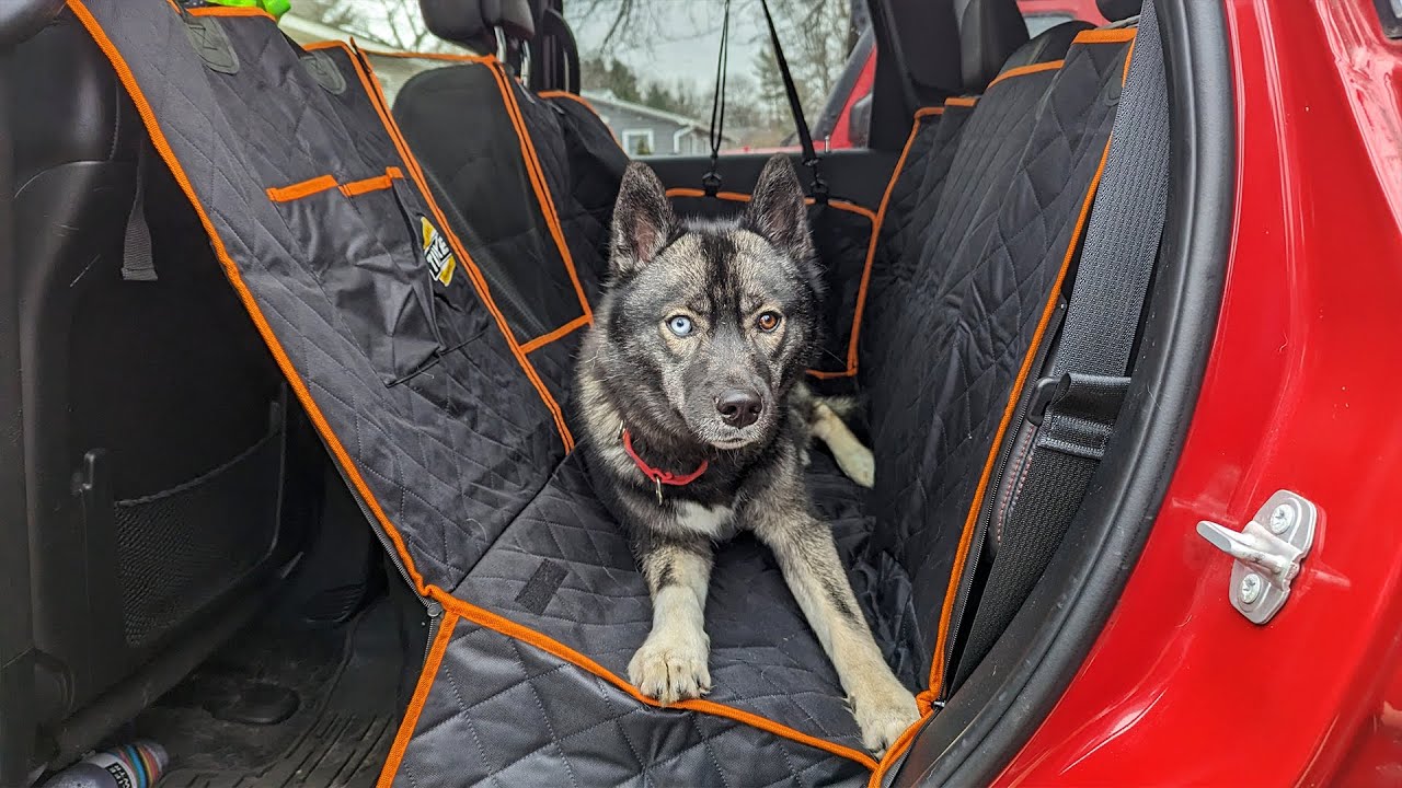 Keep Your Car Protected With This Dog Car Seat Cover!