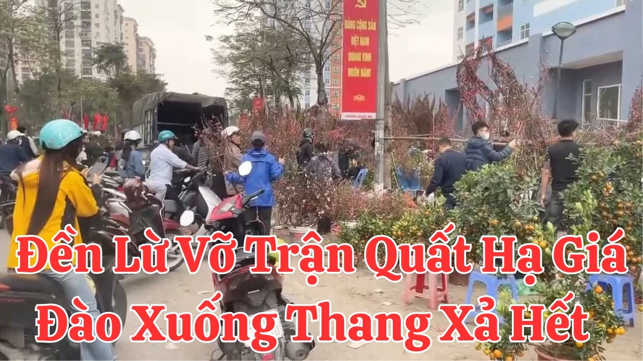 Chợ Tết Đền Lừ Hà Nội Ngầy Cuối  Vỡ Trận Quất Xuống Thang Đào Hạ Giá Sốc