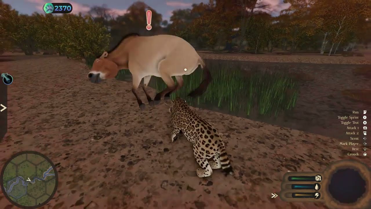Western Horse Ambush