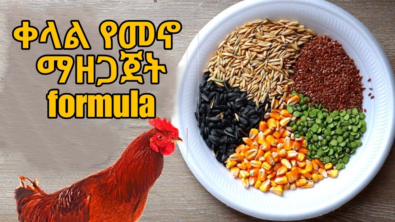 የራሳችውን የዶሮ መኖ የምታዘጋጁበት Formula።